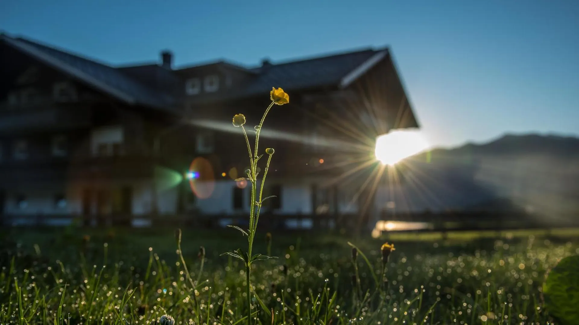 Alpenhaus Steiner - Top-Ferienwohnungen - Sommer-Bergbahn Inklusive Bolsterlang 0*,