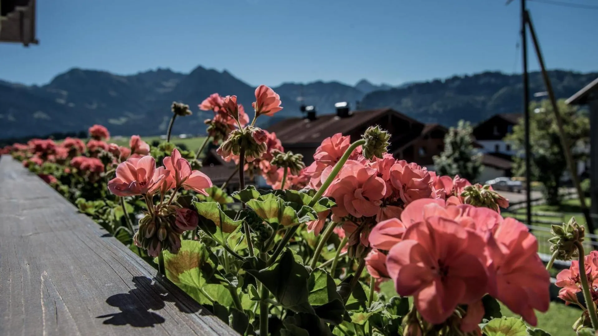 Alpenhaus Steiner - Top-Ferienwohnungen - Sommer-Bergbahn Inklusive Bolsterlang Německo