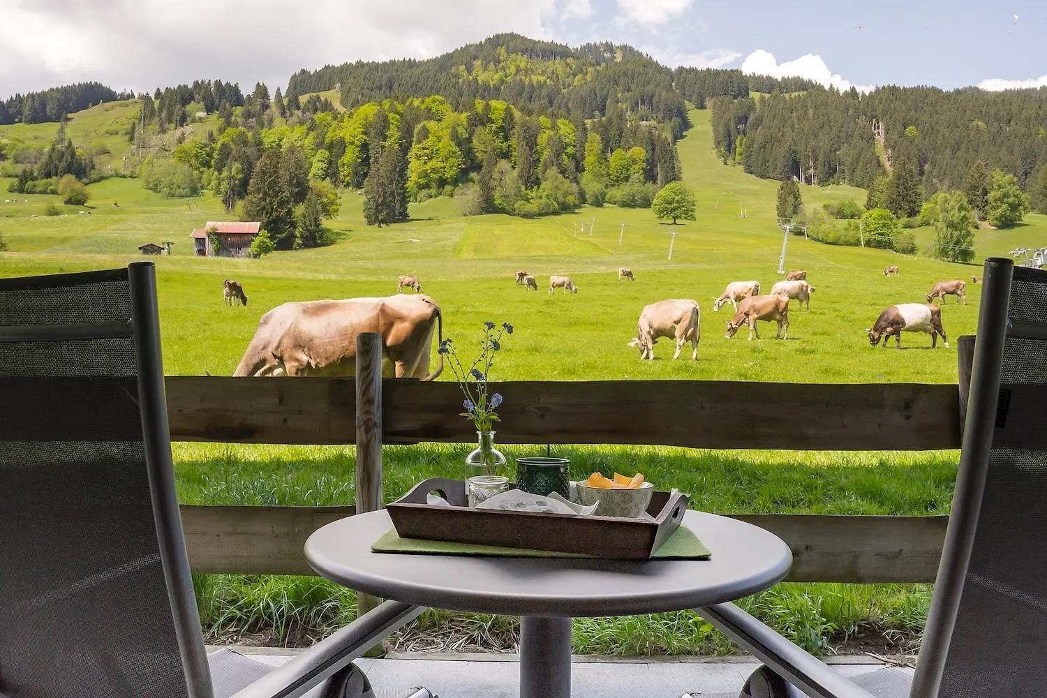 Alpenhaus Steiner - Top-Ferienwohnungen - Sommer-Bergbahn Inklusive Bolsterlang Německo