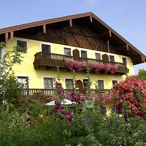 Apartment Koellhof, Höslwang
